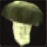 CIEMNY GRZYB