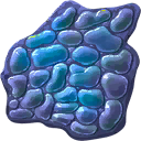 SKÓRA CZARNEGO ZĘBACZA