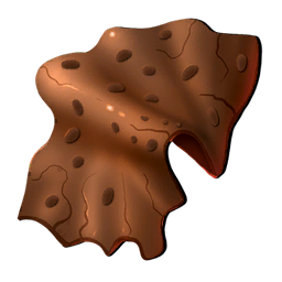 Skóra Pustynnego Aligatora