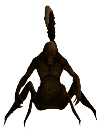 Prawy NPC